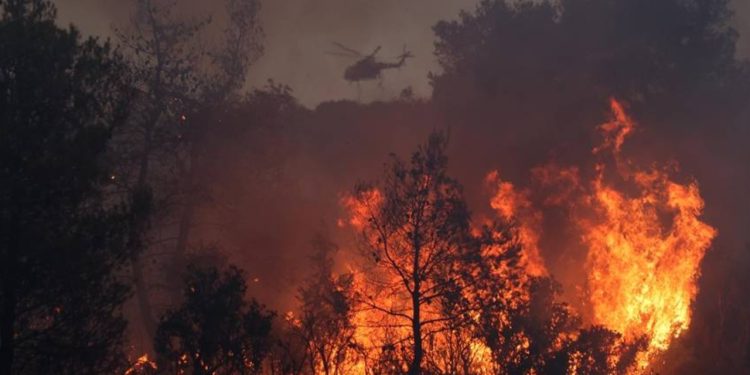 Korfu Adası'nda orman yangını: 12 yerleşim birimi boşaltıldı