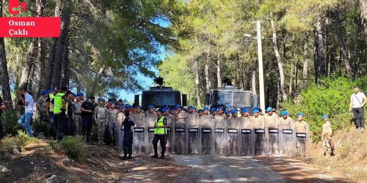Köylere haber verildi: Akbelen’de ağaç kesecek işçi aranıyor