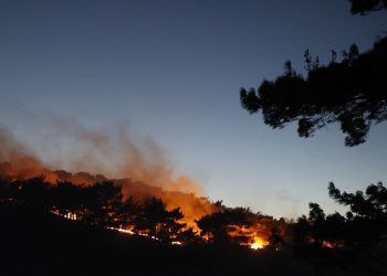 Manisa'daki orman yangınına müdahale sürüyor: Bir mahalle tahliye edildi