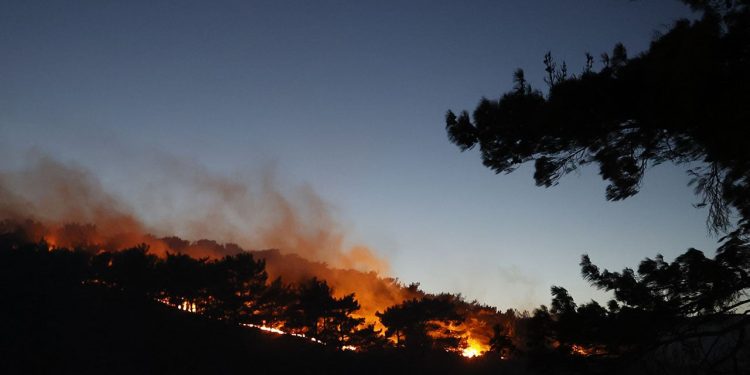 Manisa'daki orman yangınına müdahale sürüyor: Bir mahalle tahliye edildi
