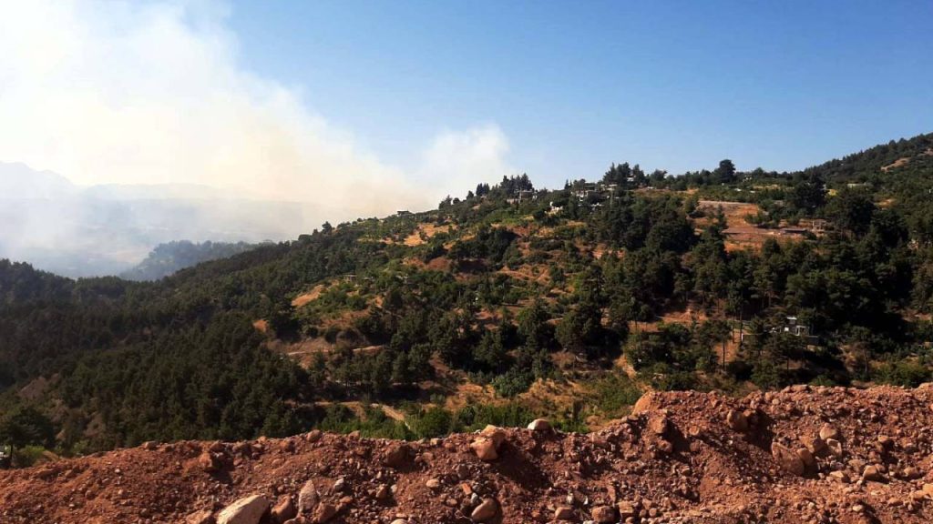 Maraş'ta orman yangını