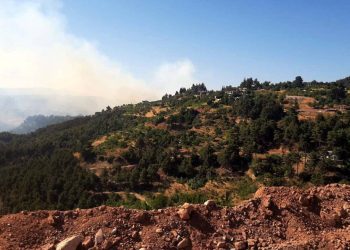 Maraş'ta orman yangını