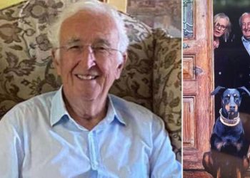 Mehmet Şimşek'in hocası Korhan Berzeg, 17 gündür kayıp: 'Berzeg'i gördüm' ihbarındaki kişi başkası çıktı