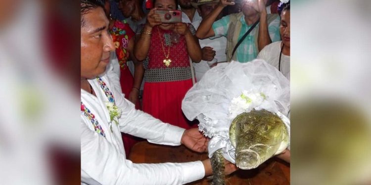 Meksika'da geleneksel düğün: Belediye başkanı 'barış ve huzur getirmesi için' timsahla evlendi