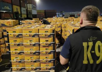 Mersin’de muz konteynerinde kokain ele geçirildi