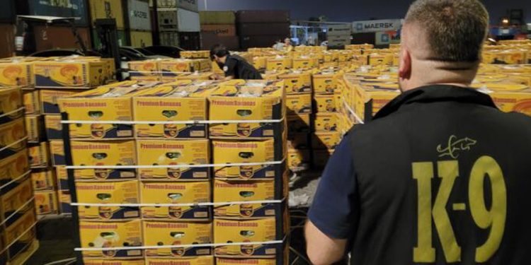 Mersin’de muz konteynerinde kokain ele geçirildi