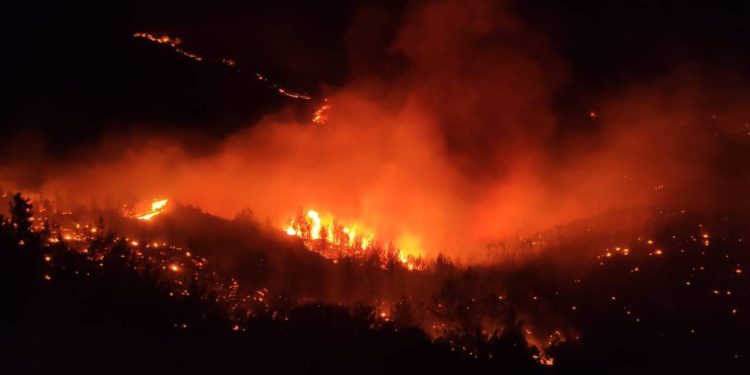 Mersin'de orman yangını: İki mahalleye sıçradı