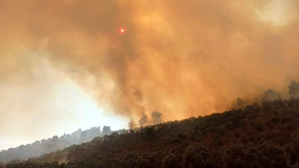 Milas-Bodrum Havalimanı yolunda orman yangını: 7 saatte kontrol altına alındı