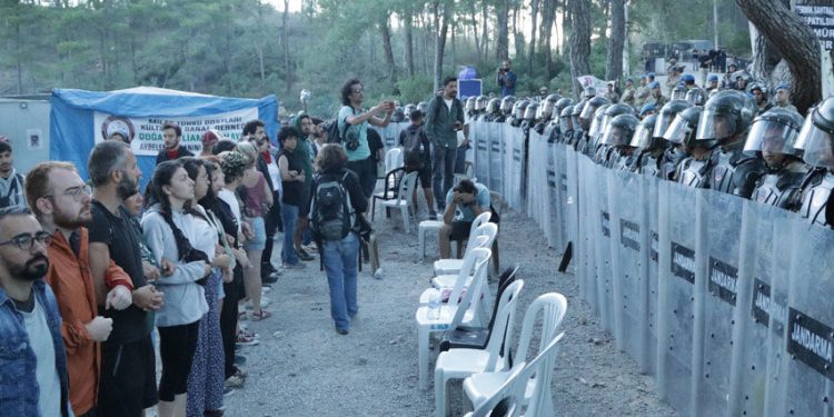 Muğla Valiliği duyurdu: Akbelen’de kesim işlemleri tamamlandı