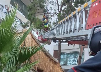 Muğla'da deniz paraşütündeki iki kişi ağaçta asılı kaldı