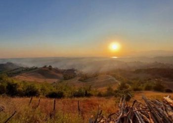 Muğla'nın ardından bir orman yangını da Adana'da: 15 hektar alan zarar gördü
