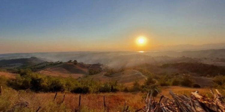 Muğla'nın ardından bir orman yangını da Adana'da: 15 hektar alan zarar gördü
