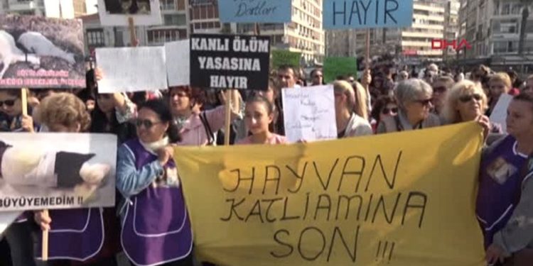 Ormanda zehirlenerek öldürülmüş köpekler bulundu