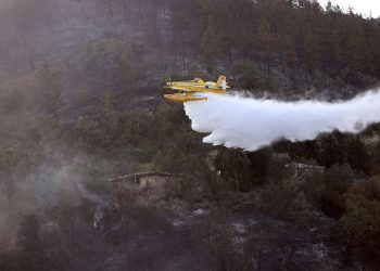 Osmaniye'de orman yangını: Altı ev boşaltıldı, 100 hayvan tahliye edildi