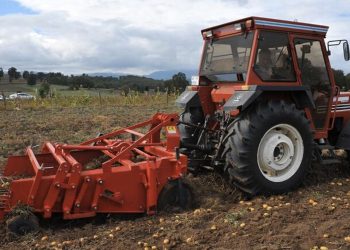 Prof. Dr. Demir: Sıcak hava dalgası uzun sürerse tarımda verim kaybı yaşanır
