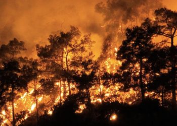 Prof. Dr. Neyişçi: Yangında her 5 saatte atom bombasına eş değer enerji açığa çıkar