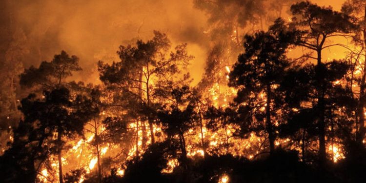 Prof. Dr. Neyişçi: Yangında her 5 saatte atom bombasına eş değer enerji açığa çıkar