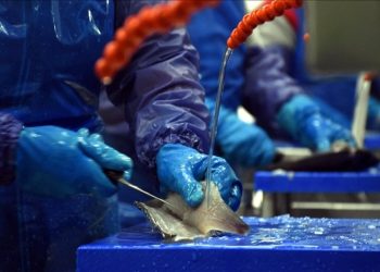 Rusya dost olmayan ülkelerden şarap ithalatında vergiyi artırdı, deniz ürünleri ithalatını da yasakladı