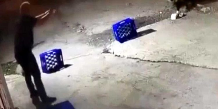 Sakarya'da hayvan katliamı: Köpeği 14 kurşunla öldürdü