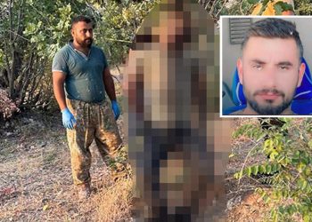 Şırnak’ta kamyon şoförü, işkence edildikten sonra iple ağaca asıldı