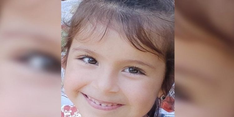 Sokakta oynarken üzerine demir kapı düşen çocuk öldü