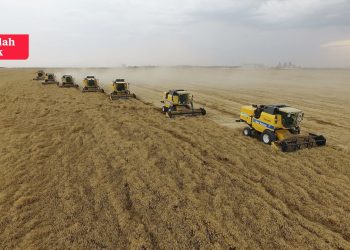 TMO'da randevu krizi çözülemedi, çiftçinin zararı büyüdü