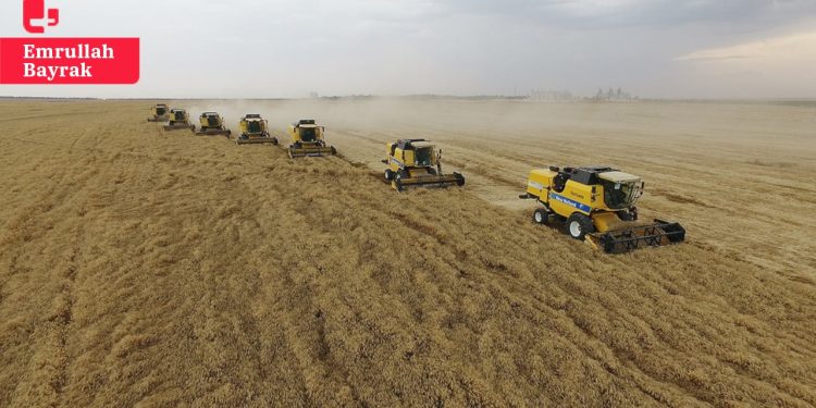 TMO'da randevu krizi çözülemedi, çiftçinin zararı büyüdü
