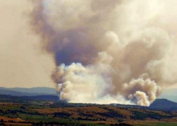 Tekirdağ'da orman yangını