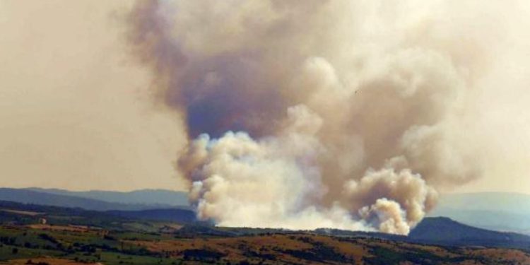 Tekirdağ'da orman yangını