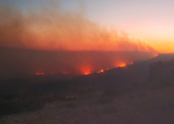 Üç kentte orman yangınları sürüyor