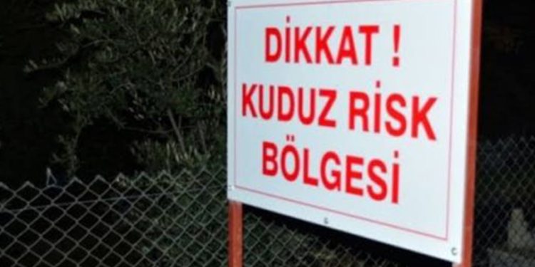 Urfa'da bir kişi kuduz vakası nedeniyle tedaviye alındı