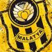 Yeni Malatyaspor bu yıl da sahaya çıkmayacak