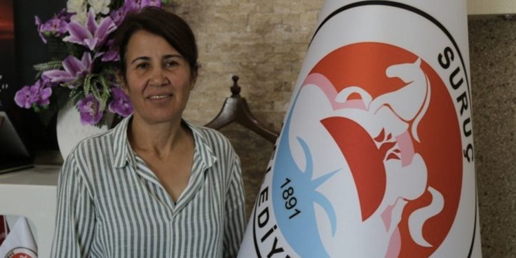 Yerine kayyım atanan Suruç Belediye Eşbaşkanı Çevik beraat etti