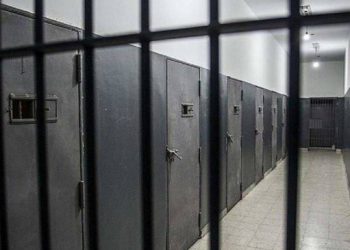 Yeşil Sol Parti’den İnfaz Kanunu’nda değişiklik teklifi