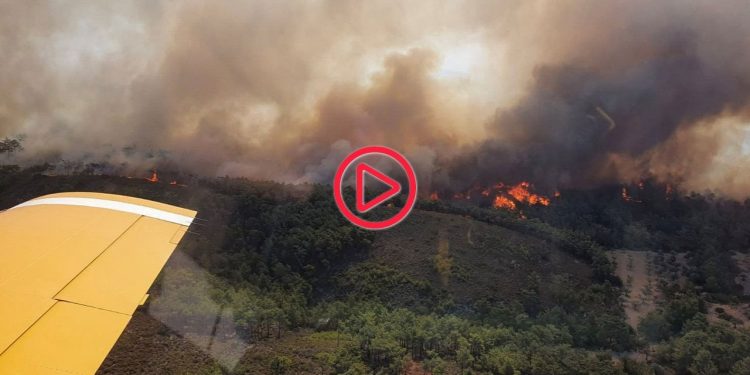Yunanistan orman yangınlarıyla mücadelesini sürdürüyor: Türkiye'den gönderilen uçaklar Rodos'ta 138 sorti yaptı