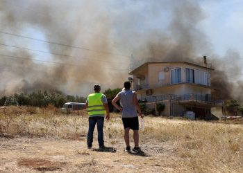 Yunanistan'da 24 saate onlarca orman yangını çıktı: Atina yakınlarında iki büyük yangına müdahale ediliyor