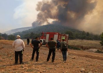 Yunanistan'da orman yangınları sürüyor: AB yangın söndürme uçakları gönderdi