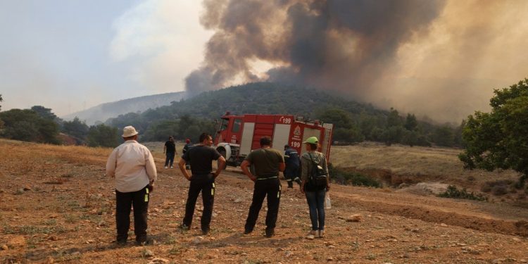 Yunanistan'da orman yangınları sürüyor: AB yangın söndürme uçakları gönderdi