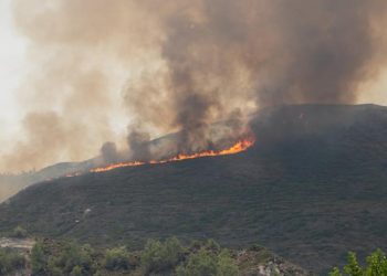 Yunanistan'daki orman yangınlarında ölenlerin sayısı 4'e yükseldi