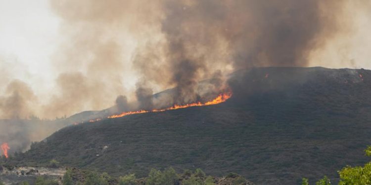 Yunanistan'daki orman yangınlarında ölenlerin sayısı 4'e yükseldi