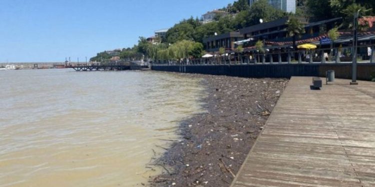 Zonguldak’ta denize girmek yasaklandı