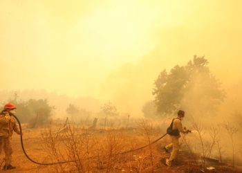 Çanakkale’de yangın gece de devam ediyor 1500 hektar ormanlık alan yandı