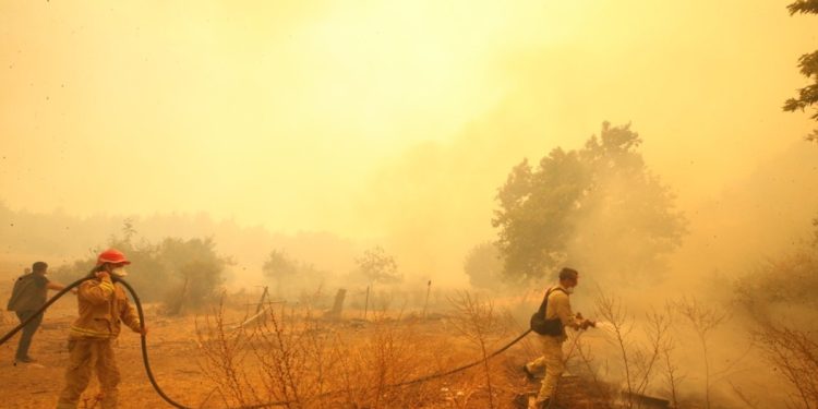 Çanakkale’de yangın gece de devam ediyor 1500 hektar ormanlık alan yandı