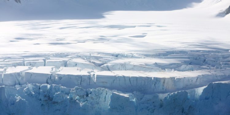 “Karada yaşadığımız felaketlerin esas nedeni denizlerin tahribatı”