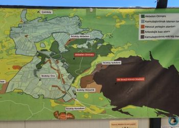 Doğa aktivisti Akbelen Ormanı’nın yok oluşunu anlattı: “Artık hem psikolojik hem fiziki baskıya uğruyoruz”