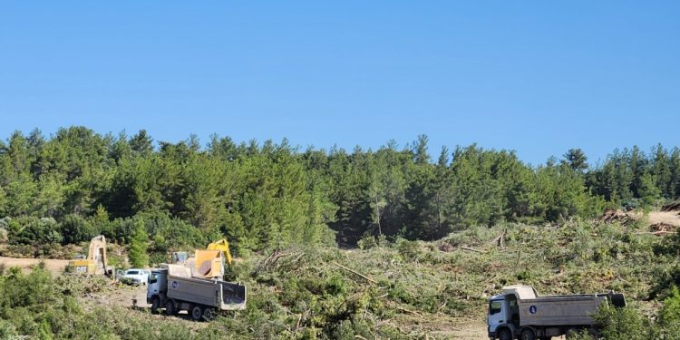 “Akbelen’de dört yıllık kömür rezervi için yüzyıllık doğa katledildi”