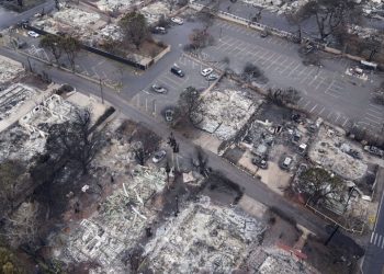 Hawaii’de devam eden orman yangınlarında en az 55 kişi öldü; 11 binden fazla kişi tahliye edildi