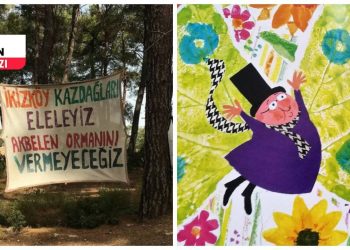 Orman kalpli köyler, dağlar: Akbelen’den Cudi’ye