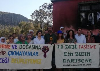 Licê’de yangınlara ilişkin ziyaret: Kurdistan’daki yangınlar da politiktir