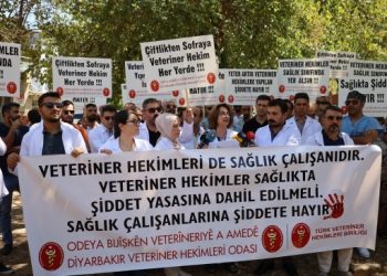 ‘Veteriner hekimler Sağlıkta Şiddet Yasası kapsamına alınmalıdır’